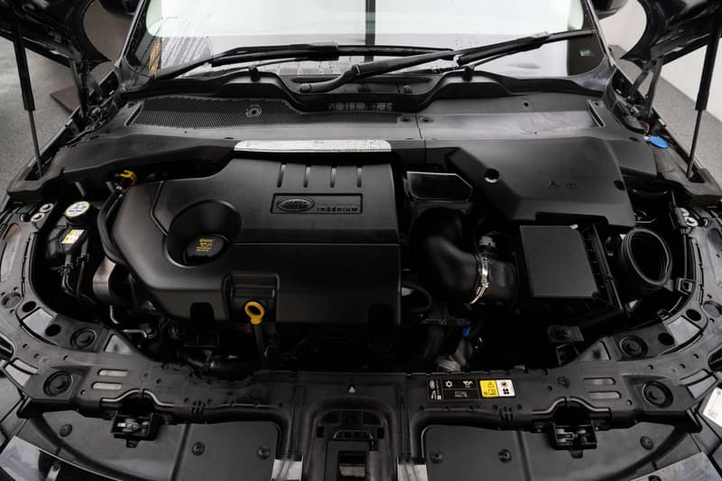 2019 Land Rover Range Rover Evoque D150 S L551 photo 3