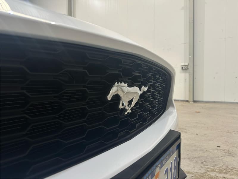 2017 Ford Mustang FM photo 3