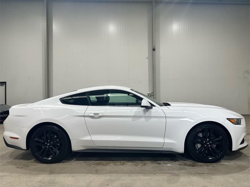 2017 Ford Mustang FM photo 5