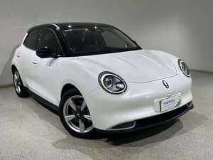 2023 GWM Ora Extended Range ES11