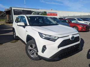 2022 Toyota RAV4 GX AXAH52R