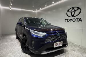2021 Toyota RAV4 Cruiser AXAH54R