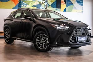 2024 Lexus NX NX250 Auto 2WD