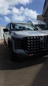 2025 LDV Terron 9 Evolve EKK1C 4X4