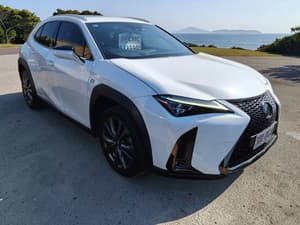 2020 Lexus UX UX250h F Sport MZAH15R
