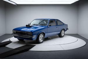 1978 Holden Sunbird LX