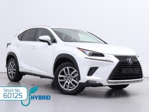 2020 Lexus NX NX300h Luxury AYZ15R