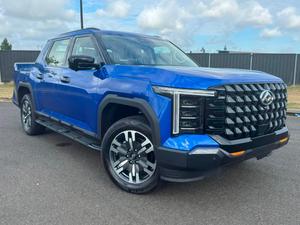 2025 LDV Terron 9 Evolve EKK1C 4X4