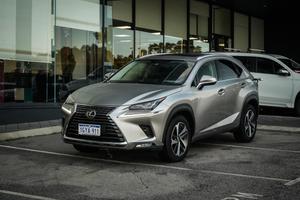 2019 Lexus NX NX300 Sports Luxury AGZ15R