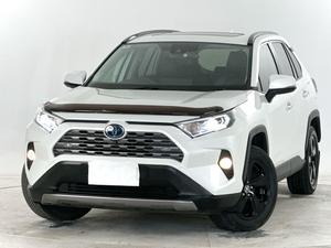 2020 Toyota RAV4 Cruiser AXAH54R
