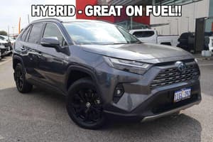 2024 Toyota RAV4 Cruiser AXAH52R