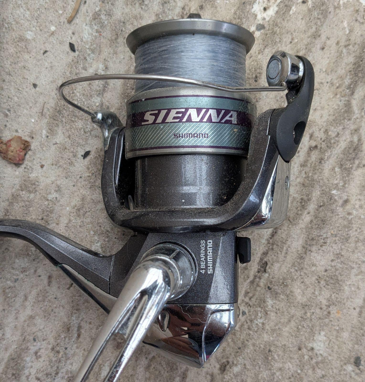 jual shimano sienna 1000fd FG : Sports & Outdoors The Propulsion Line Management System with aluminum spool increases casting efficiency while minimizing wind knots and tangles during retrieve and cast shimano 1000 reel | Fishing