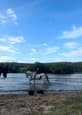 Athletic paint gelding (photo 3)