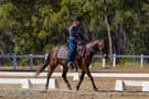 Super Pony (photo 1)