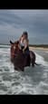 Beautiful Gelding (photo 1)