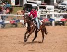 7yr old bay OTTB mare (photo 1)
