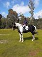 KENLOCK DIEGO (photo 2)