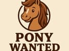 Wanted: Wanted project ponies or quarter horses (photo 2)