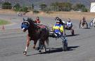 Mini trotter (photo 1)
