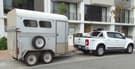 HORSE STRANSPORT / on call Taxi Service
