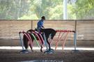 Super Pony (photo 3)