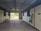 horse adjustments (photo 1)