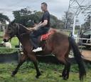 Beautiful Standard bred mare (photo 3)