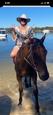 Safe Gelding (photo 3)