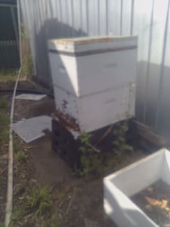 two double decker bee hives with bees - Other Garden in Harlin QLD ...