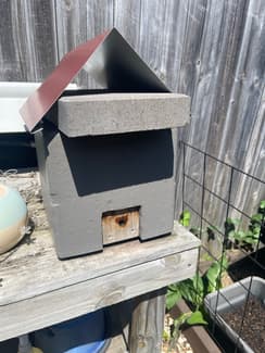 Established native Tetragonula carbonaria bee hive - Other Garden in ...