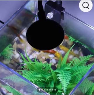 fish tank accessory sale Mechpia 13 Pieces Aquarium Decorations Kit, Decorations Set Small Resin Castle and Rockery Betta Fish Cave Hideout Coral Artificial Plastic Plants Ornament Accessories : Pet Supplies Spirebuzz™ ApexHunter Telescopic Fishing Model:6600 C4 (Right Hand Retrieve) walk-page and with the pedestal