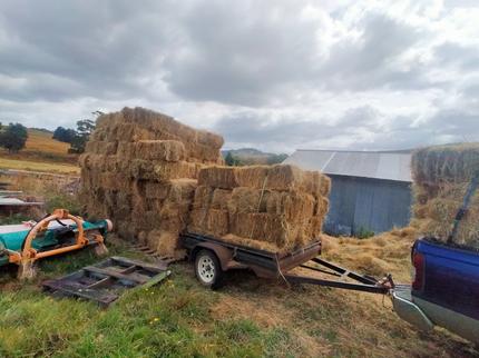 Hay rounds and squares | Pet Products | Gumtree Australia Huon Valley ...