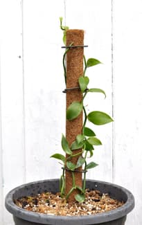 tall indoor plant stand 70" Tall Plant Stand Indoor, 8-Tier Arched Plant Shelf Corner Display Rack  with Metal Frame