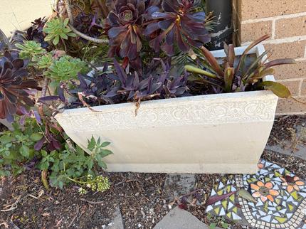 Vic 20 Computer Storage Lightweight Pots FREE - Pots & Garden Beds in Tarneit VIC | Gumtree ...
